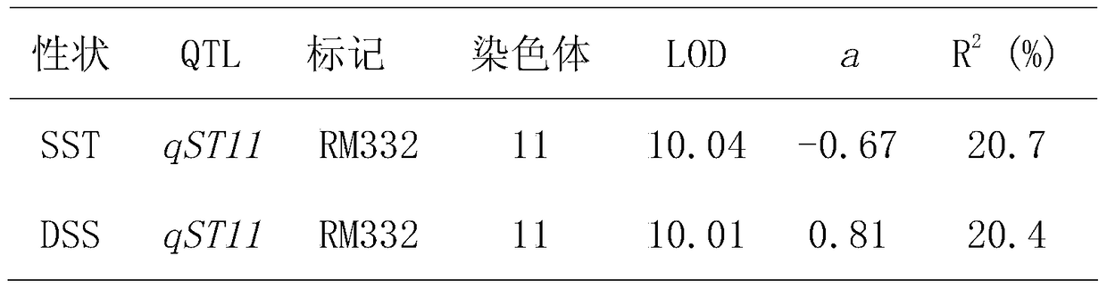 A salt tolerance gene qst11 in rice seedling stage and its molecular marker method