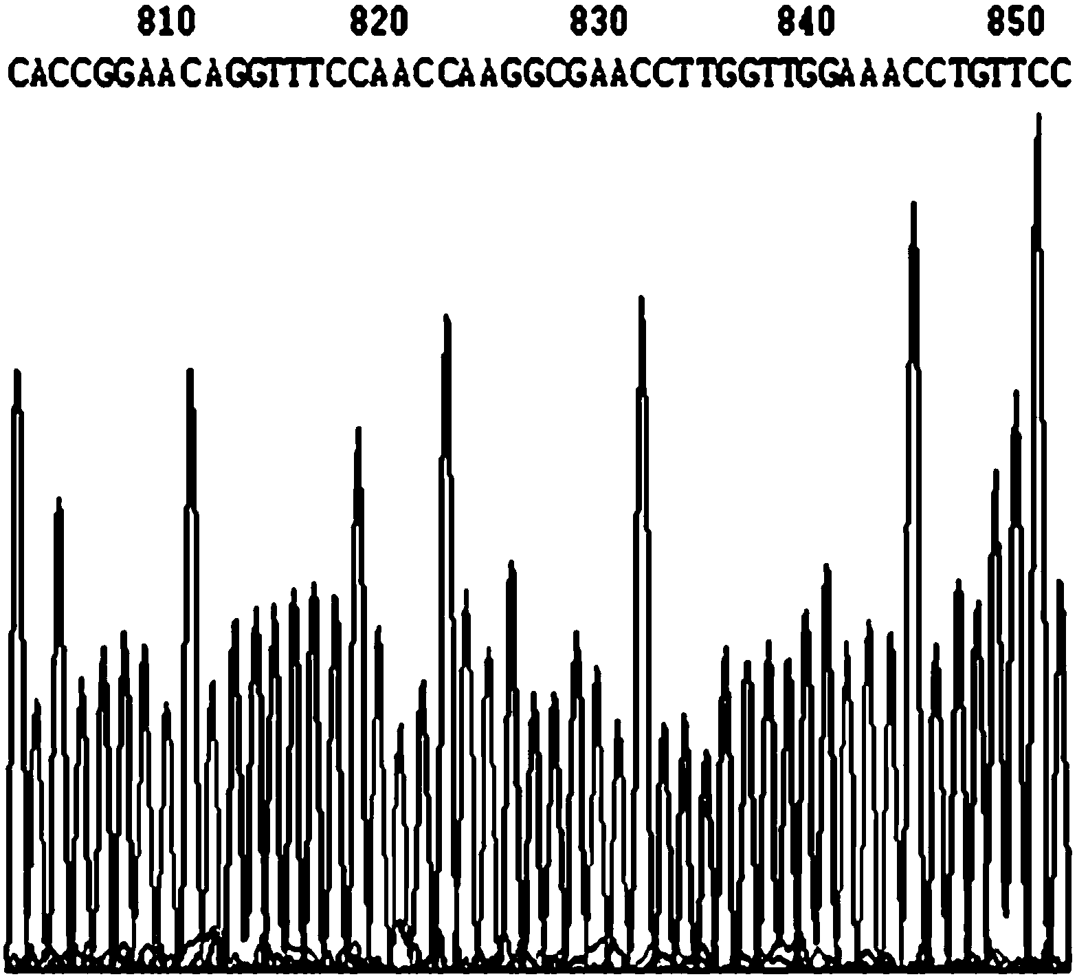 Ribonucleic acid interference (RNAi) for inhibiting porcine reproduction and respiratory syndrome virus replication and preparation method of RNAi