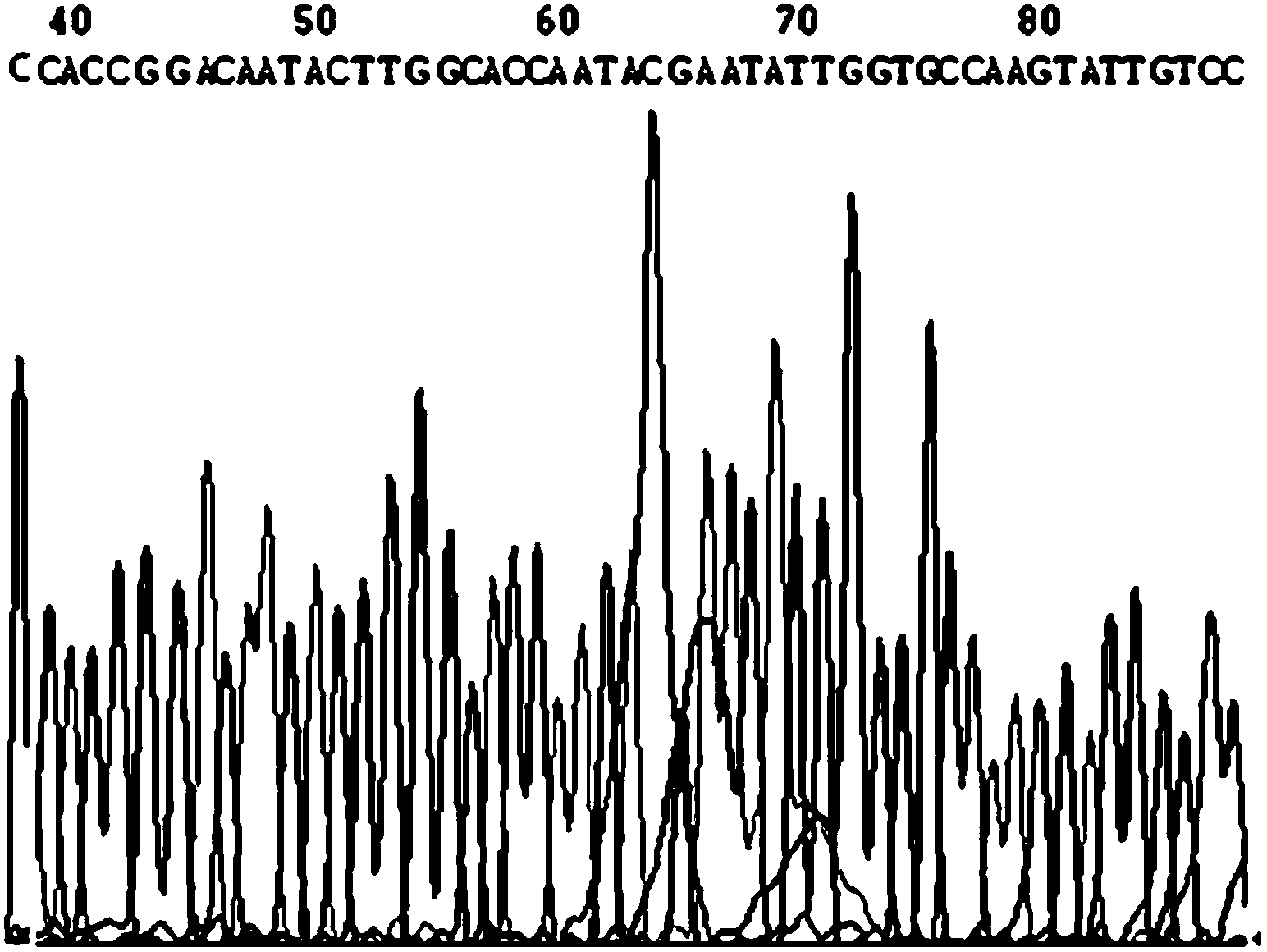 Ribonucleic acid interference (RNAi) for inhibiting porcine reproduction and respiratory syndrome virus replication and preparation method of RNAi