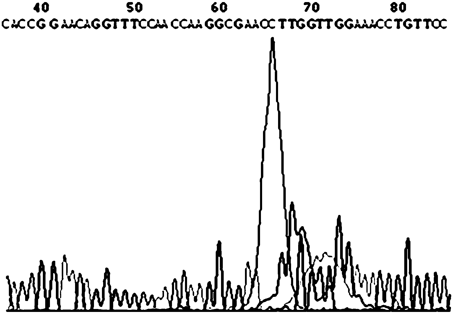 Ribonucleic acid interference (RNAi) for inhibiting porcine reproduction and respiratory syndrome virus replication and preparation method of RNAi