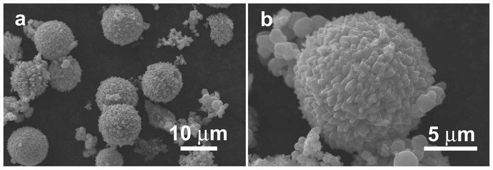 Preparation method of lithium battery negative electrode material with litchi-shaped sodium tungstate/nitrogen-doped carbon composite structure