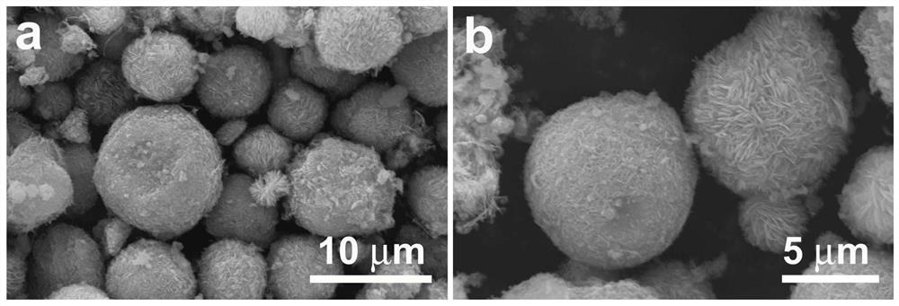 Preparation method of lithium battery negative electrode material with litchi-shaped sodium tungstate/nitrogen-doped carbon composite structure