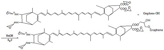 A kind of processing method of modified graphene