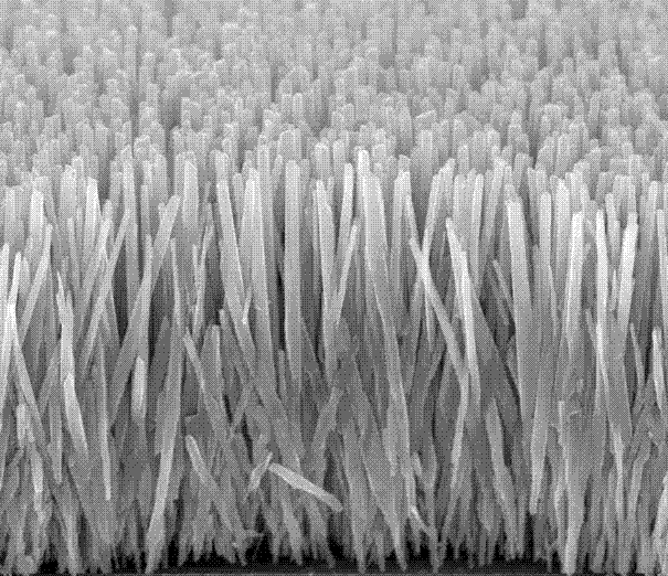 Preparation method of branched zinc oxide nanowire array film