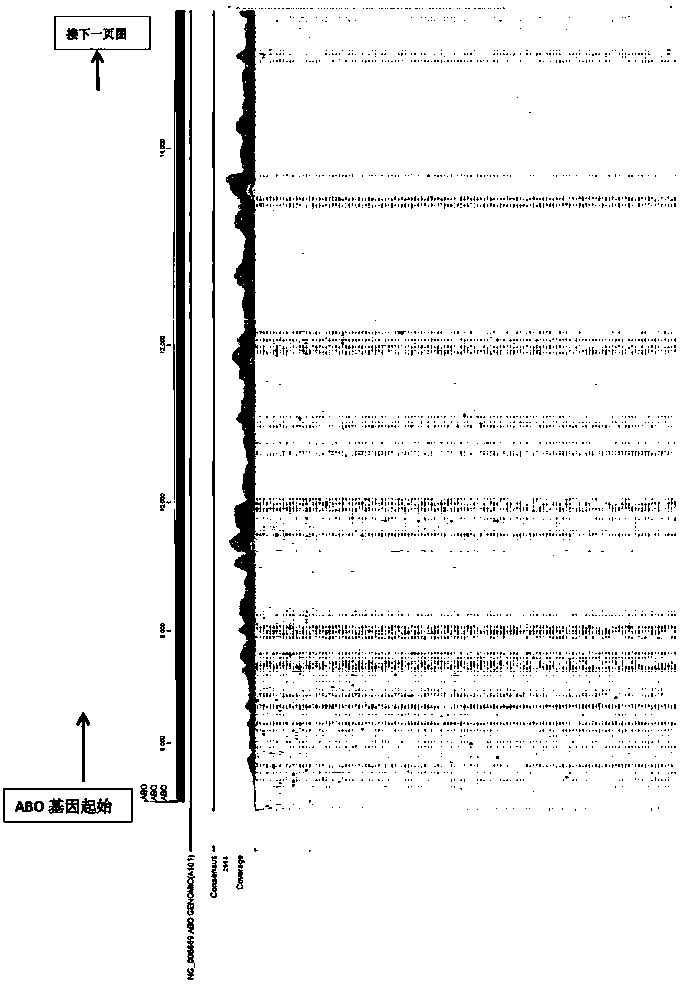 Method and reagent kit for determining full length sequence of ABO gene based on NGS technology