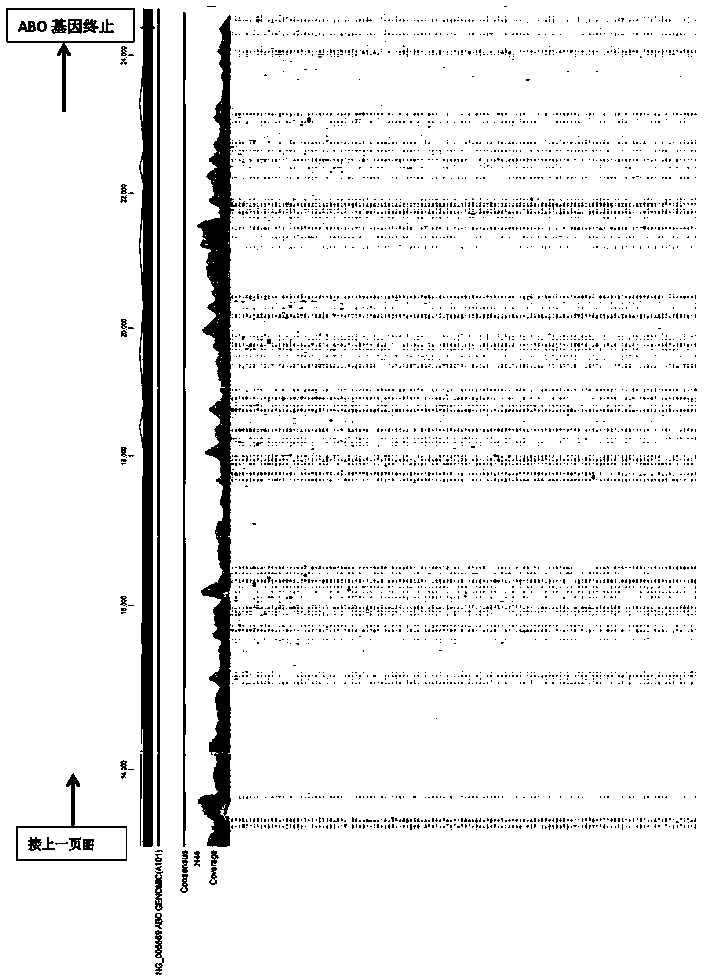 Method and reagent kit for determining full length sequence of ABO gene based on NGS technology