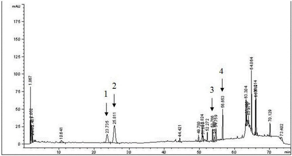 Preparation method and application of ginseng stem and leaf total saponin contrast extractive