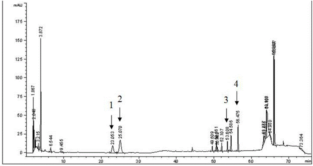 Preparation method and application of ginseng stem and leaf total saponin contrast extractive