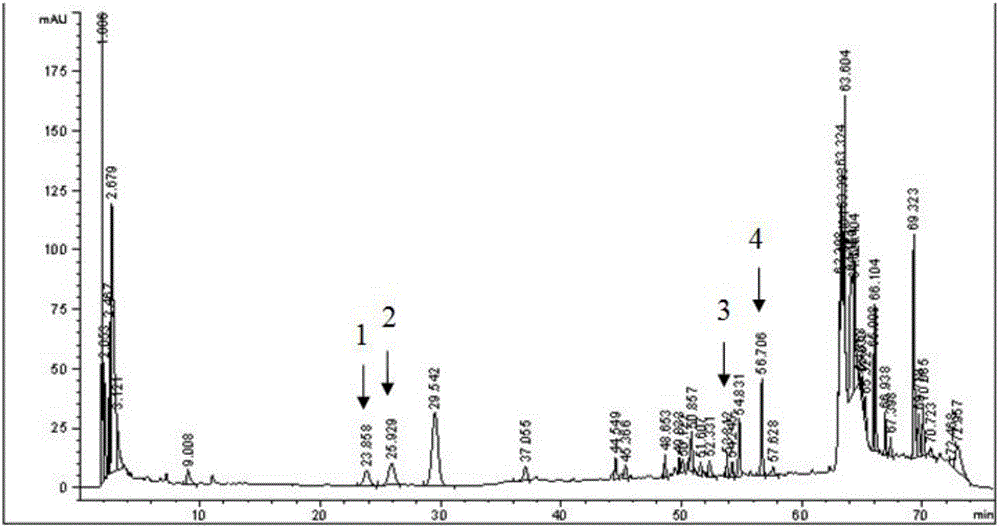 Preparation method and application of ginseng stem and leaf total saponin contrast extractive