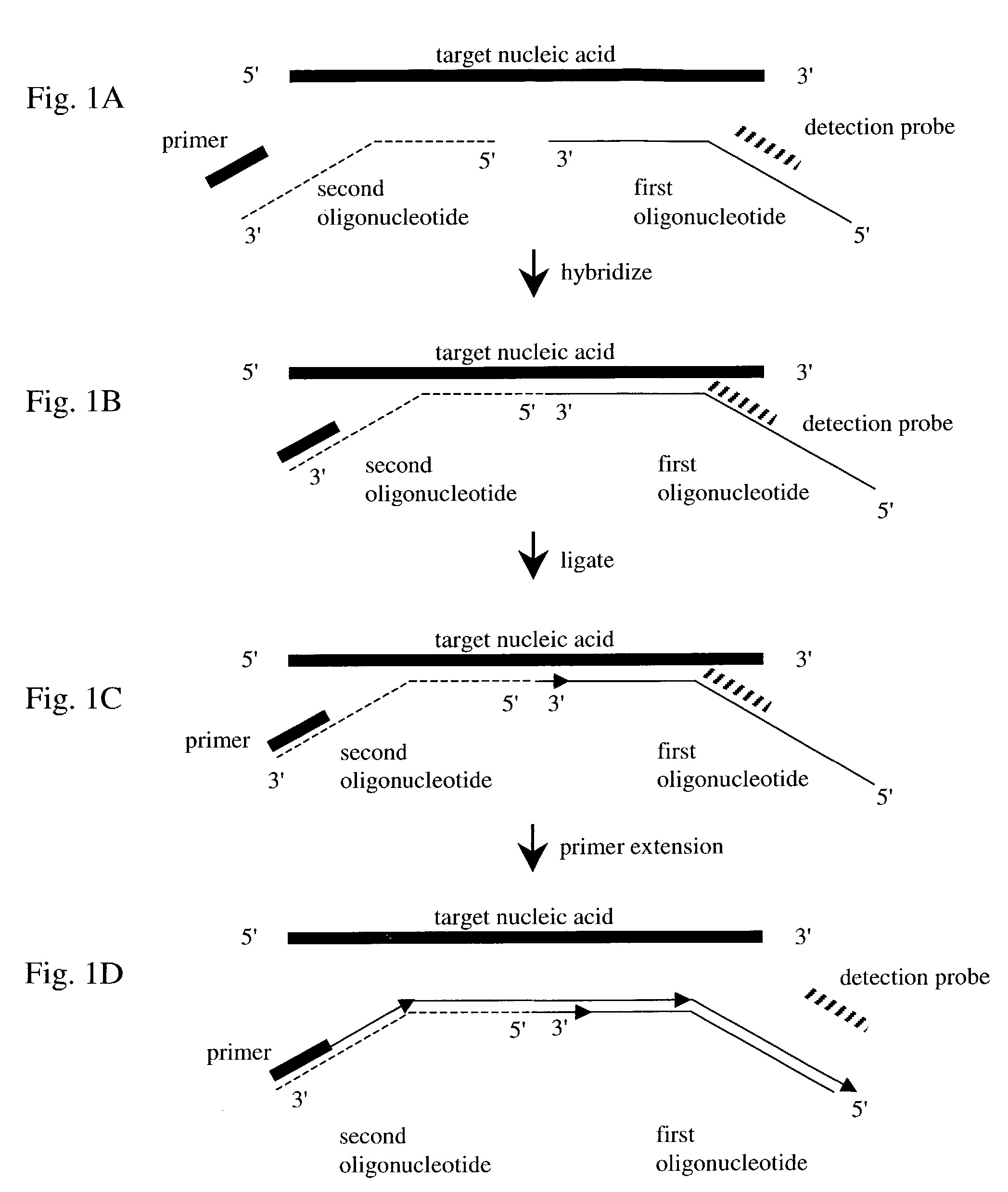 Nucleic acid detection method