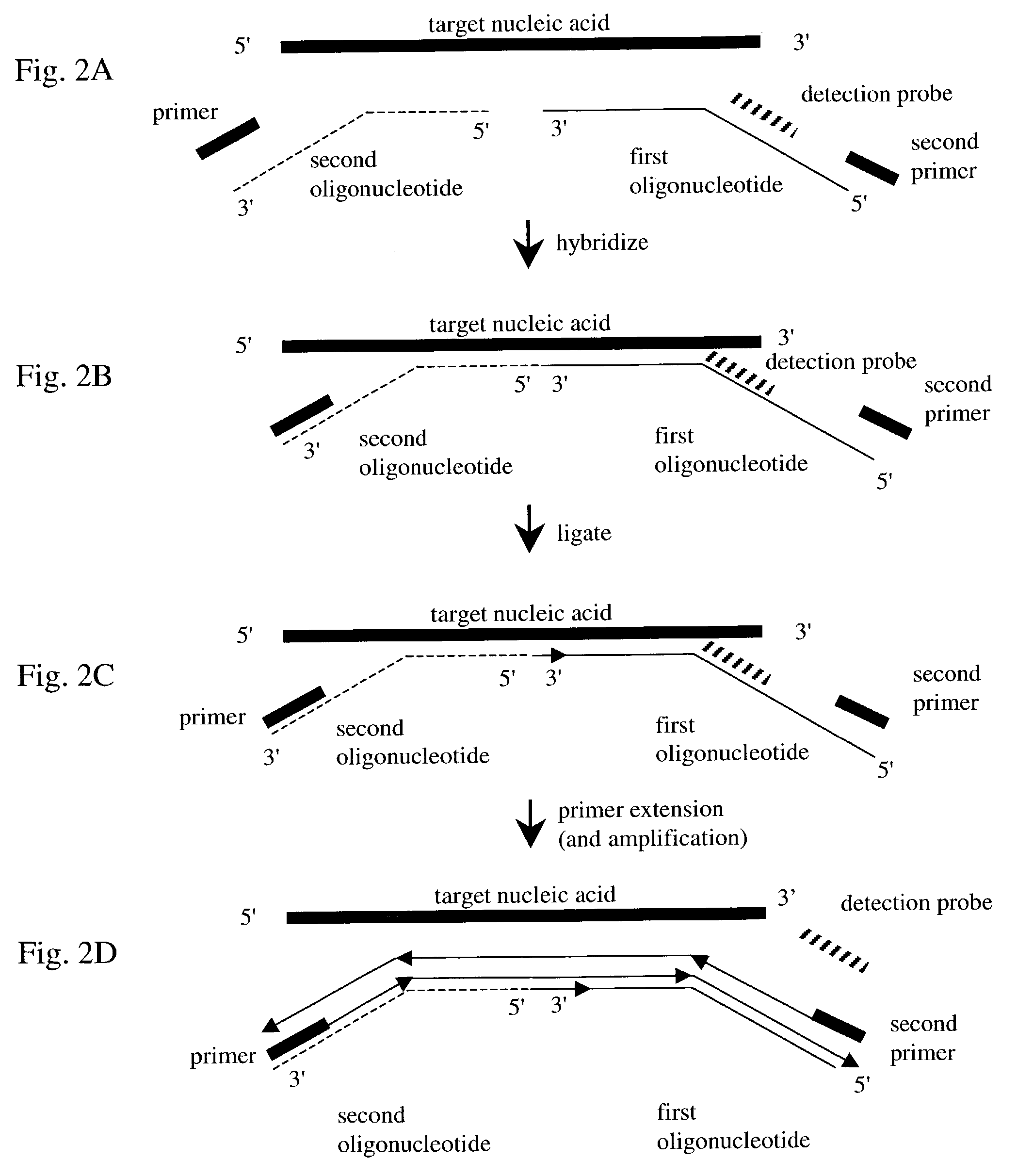 Nucleic acid detection method