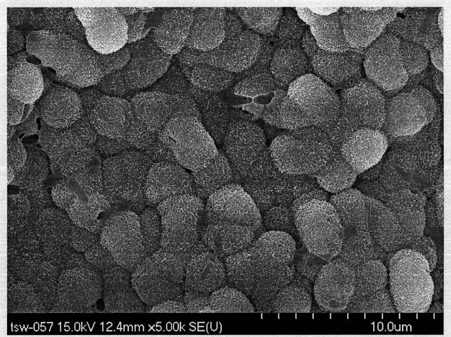 Treatment method of magnesium or magnesium alloy surface