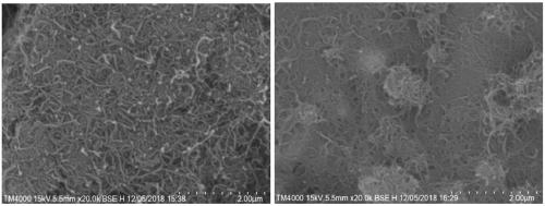 Carbon nanotube dispersing phenylacetylene-based polyfunctional group polymer and preparation method thereof