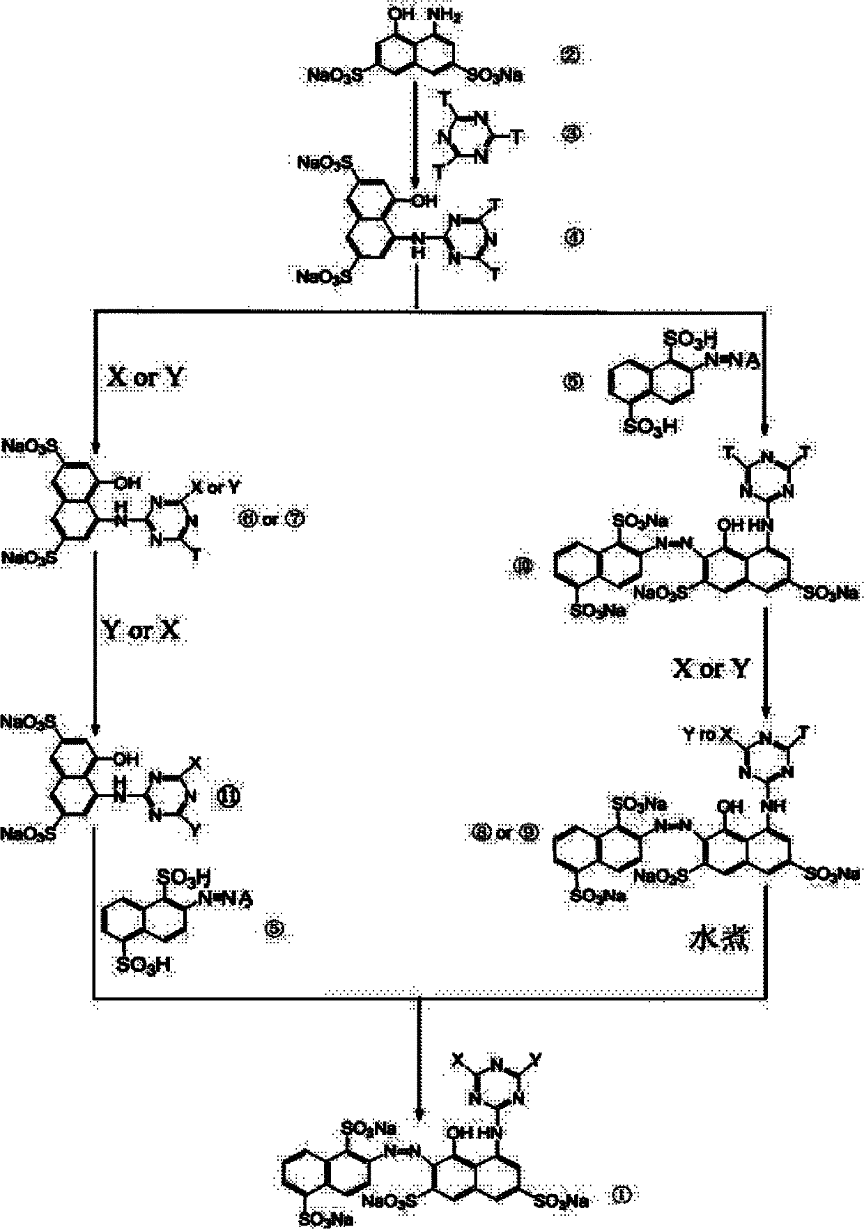 Water-soluble dye and preparation method and application thereof