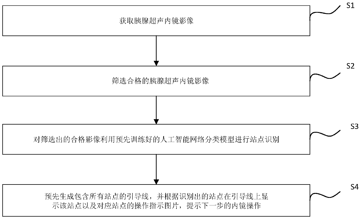 Pancreas ultrasonic endoscopy navigation method and system based on artificial intelligence