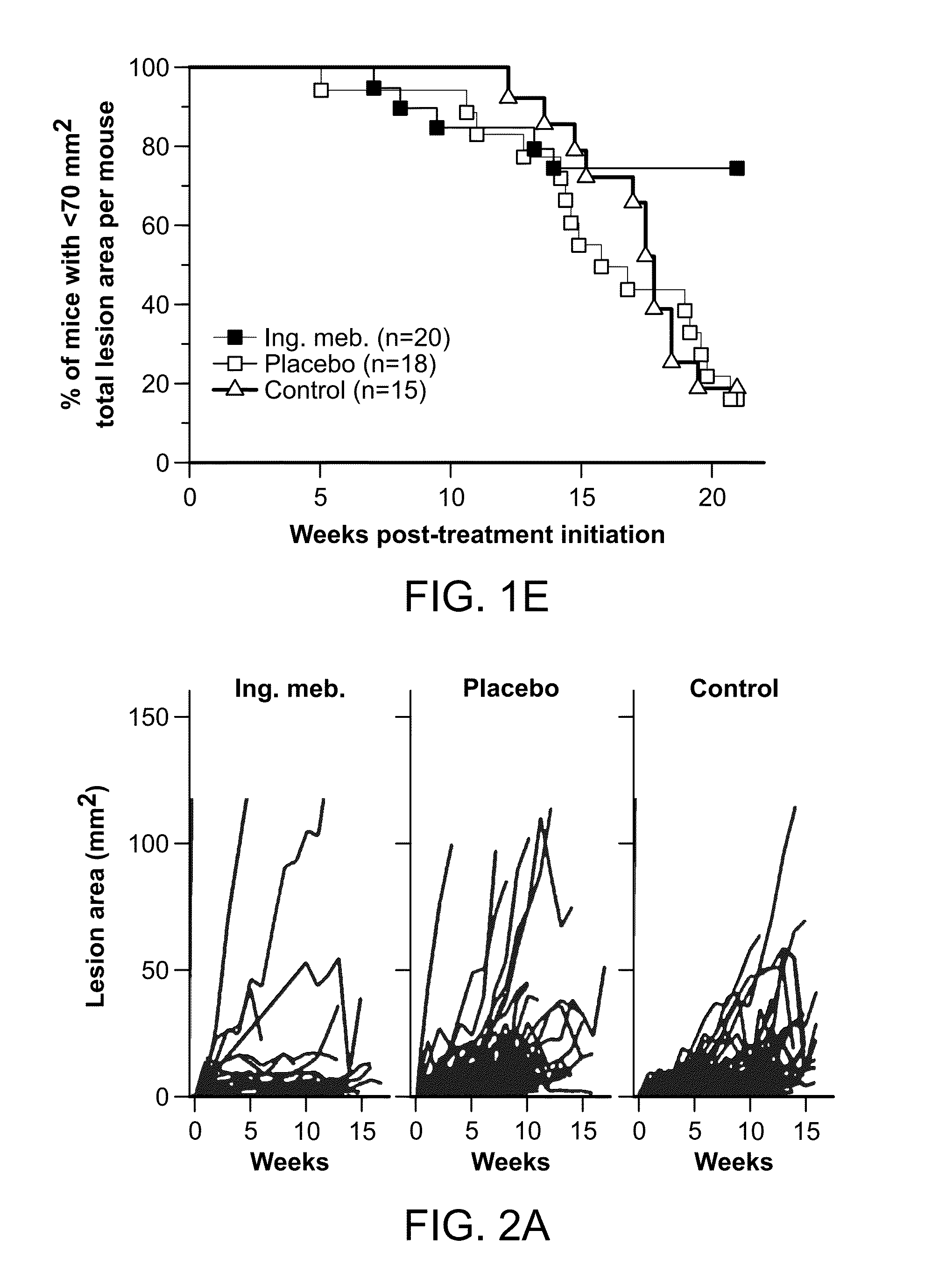 Methods for treating uv-damaged skin and scc tumors and for removing tattoos with topical ingenol mebutate