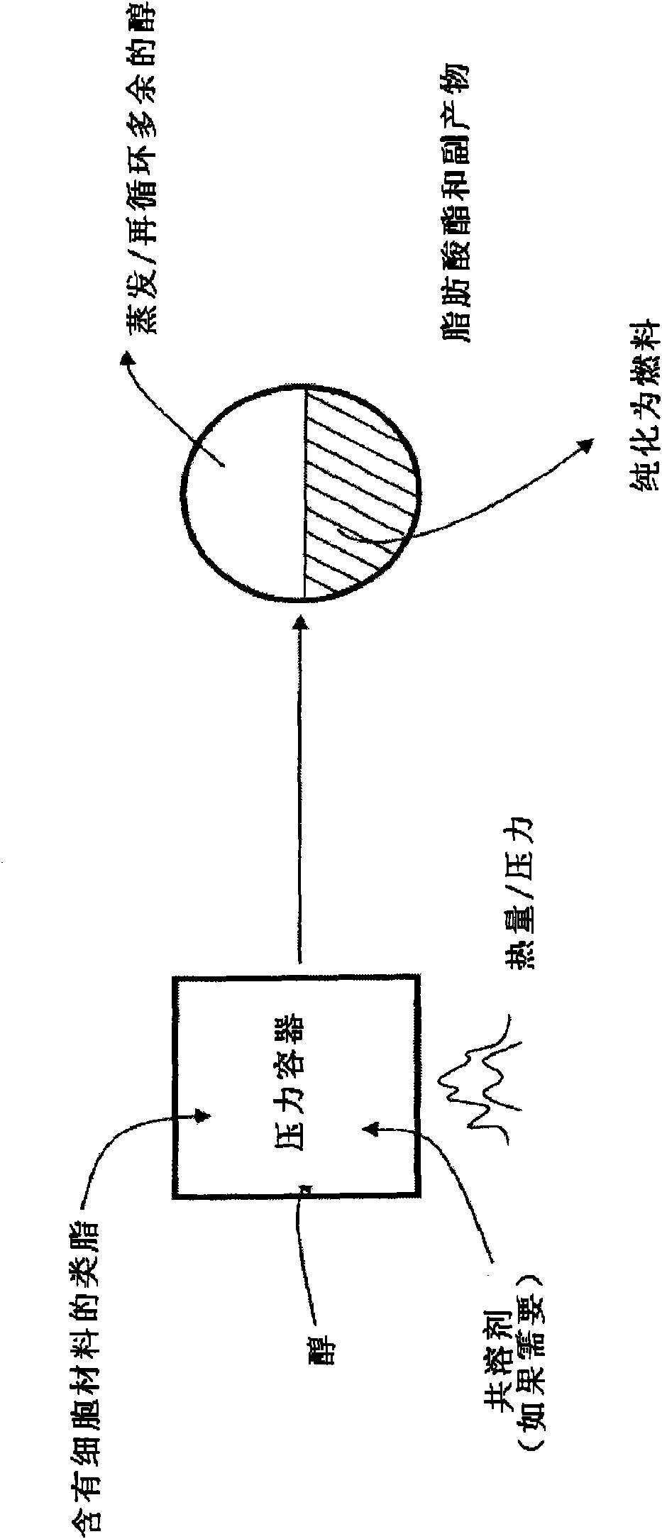 Methods of robust and efficient conversion of cellular lipids to biofuels