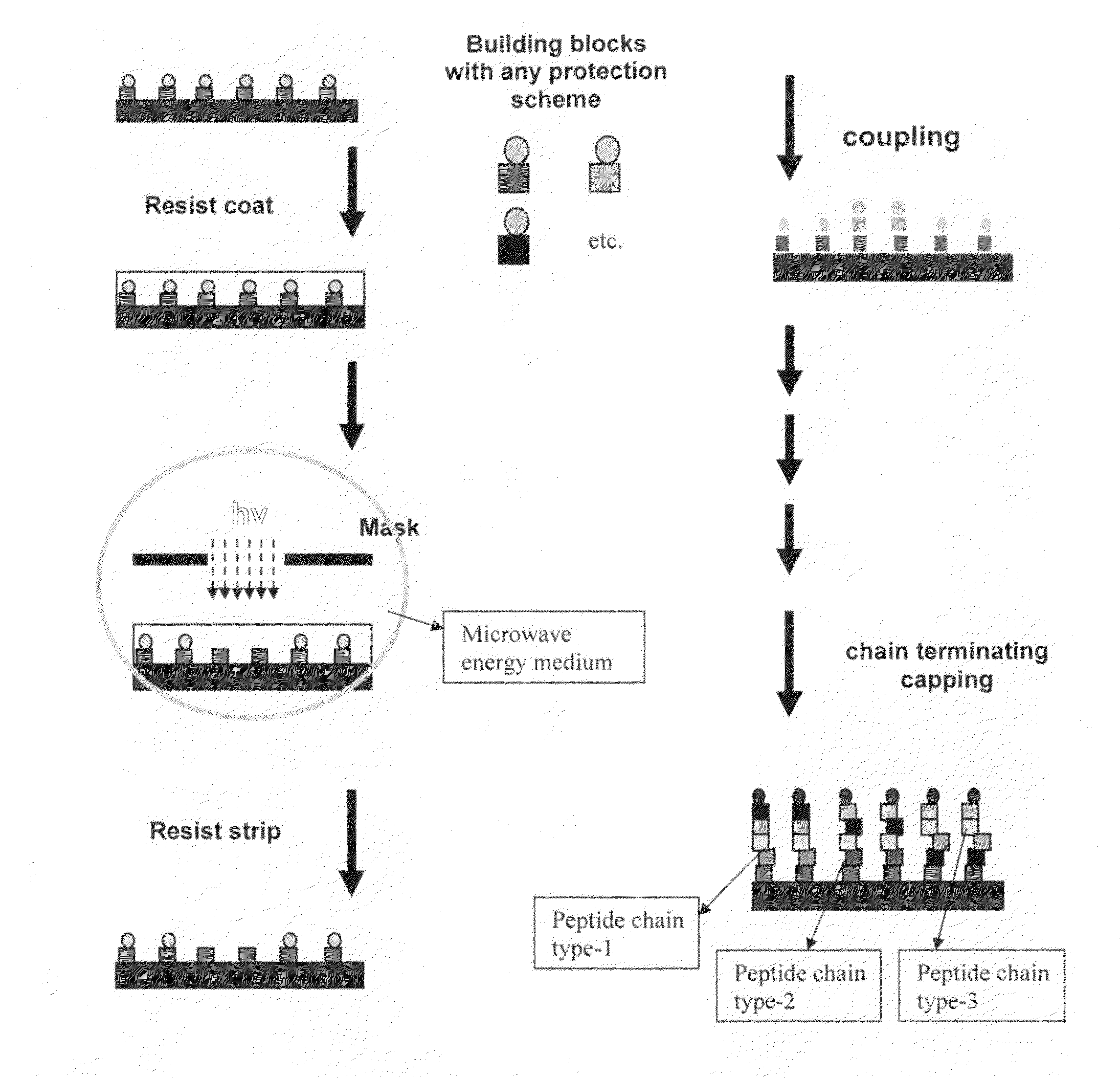 Molecular microarrays and helical peptides