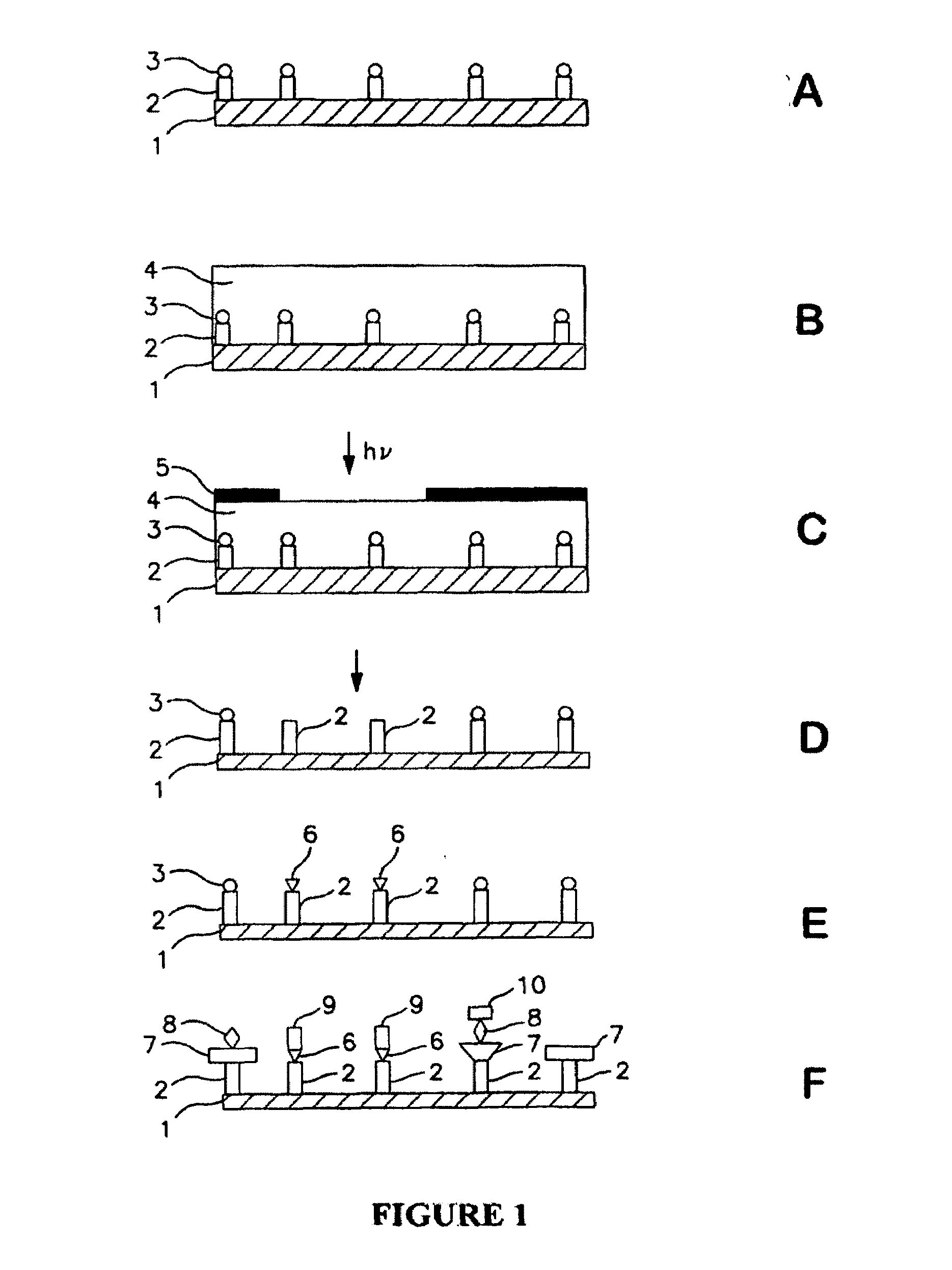 Molecular microarrays and helical peptides