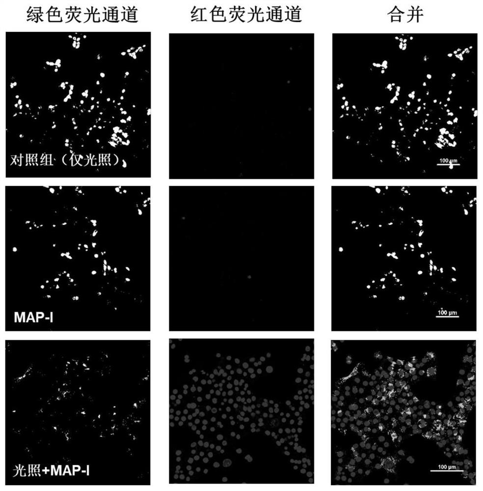 Photosensitizer for inducing death of immunogenic cells and preparation method and application thereof