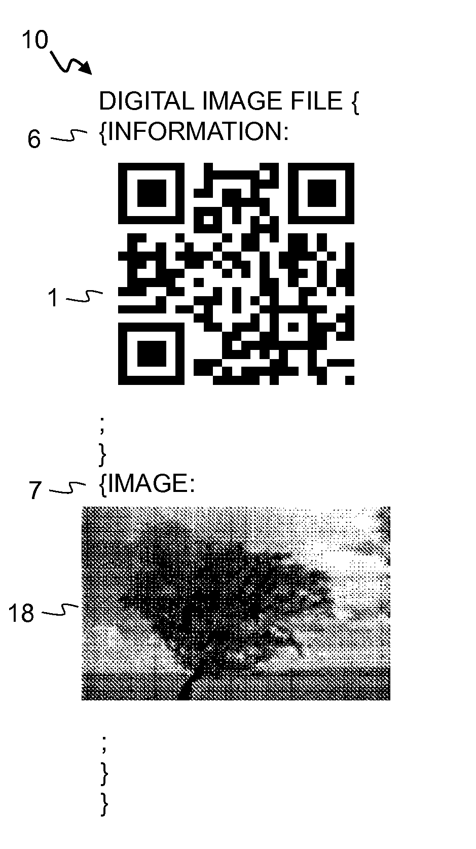 Digital image file including optical code