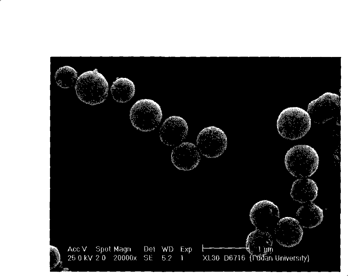 One-step synthesis method of surface loaded magnetic Fe2O3 nano-particle colloidal carbon ball