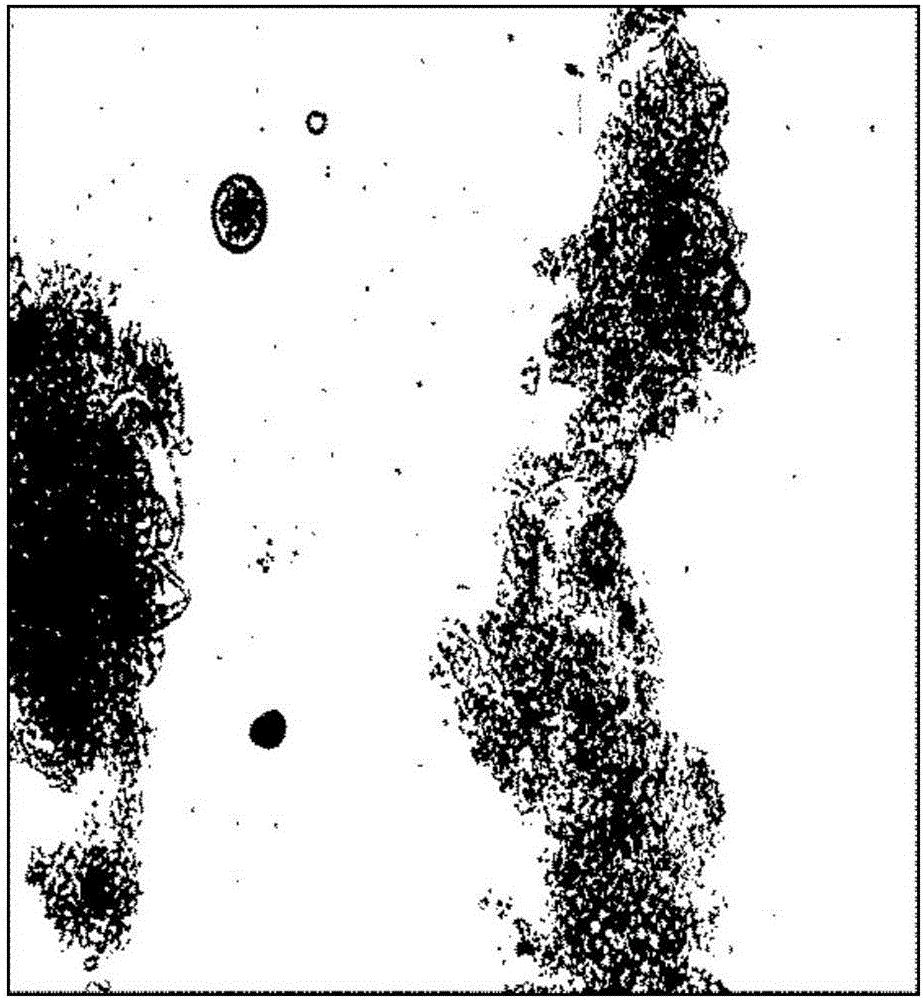 Activated sludge floc analysis method based on MATLAB