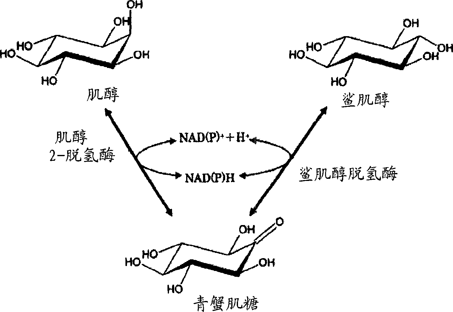 Process for producing scyllo-inositol