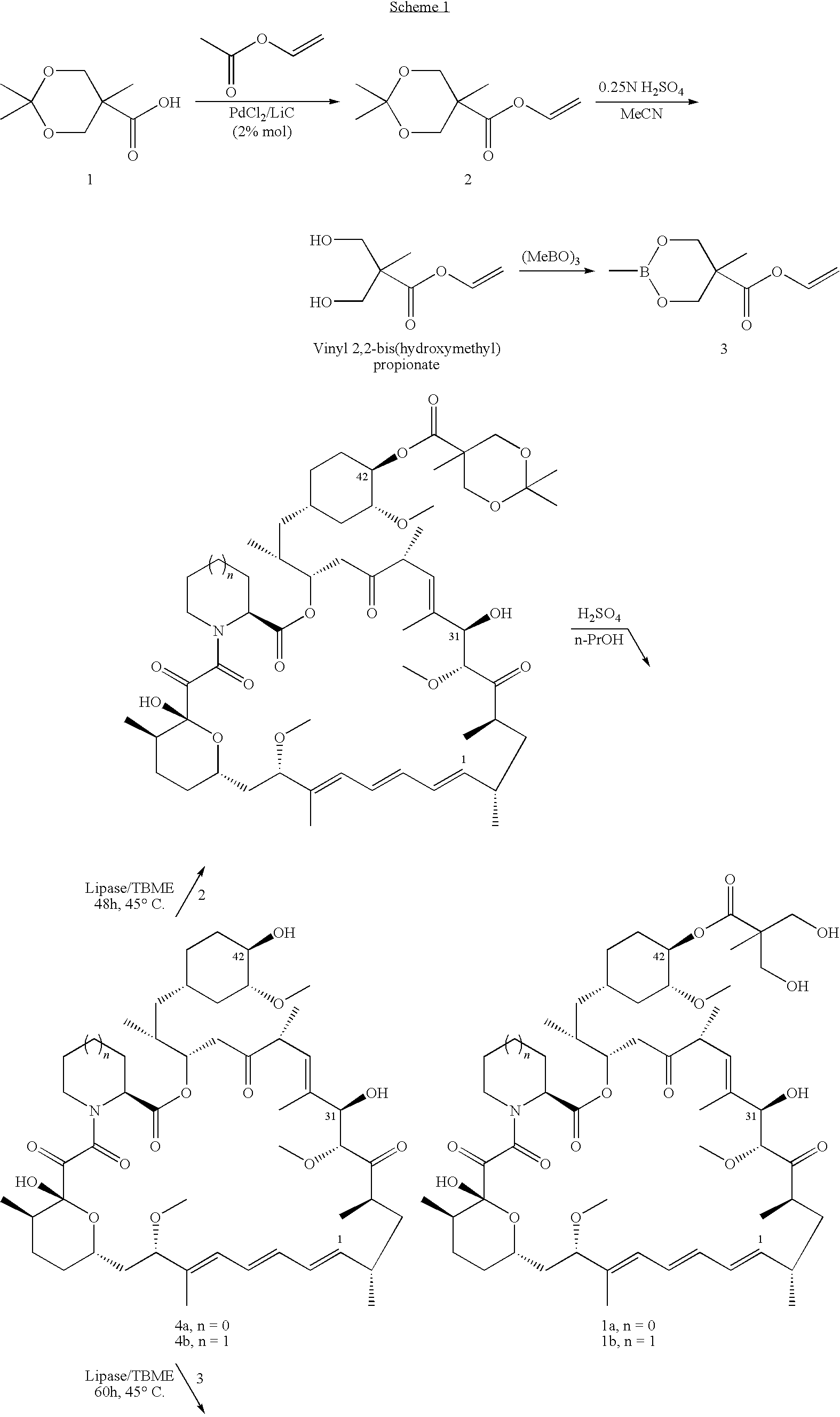 Process for preparation of temsirolimus