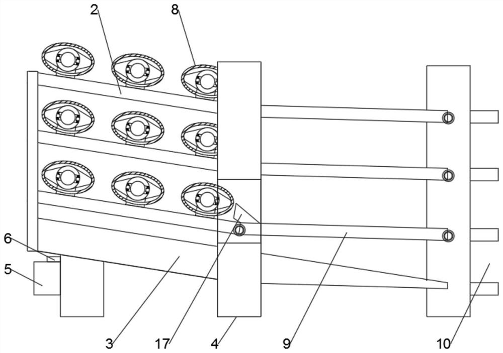 Automatic weight grading device for fish processing