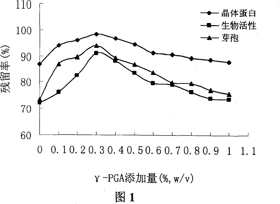 Application of poly gamma glutamic acid as bacillus thuringiensis agent protector