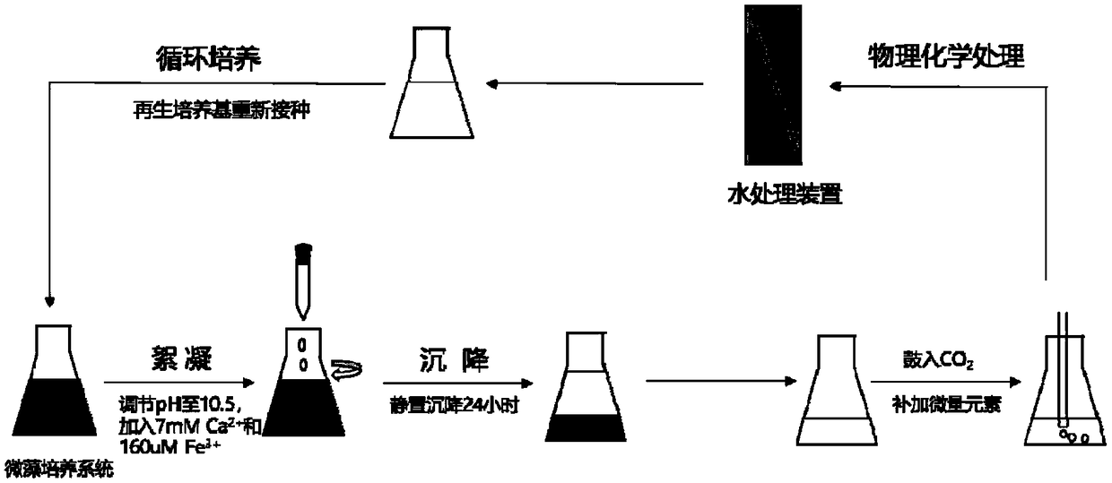 Alkali flocculation harvest and cyclic microalgae culture method