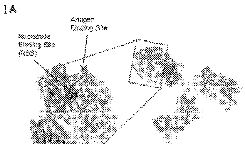 Small molecule affinity membrane purification systems and uses thereof