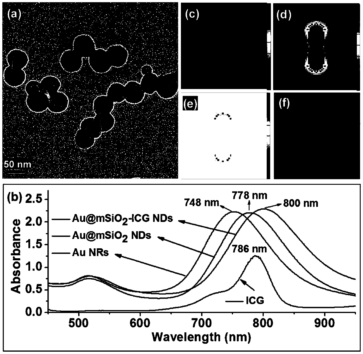 Composite nanoprobe with dumbbell structure as well as preparation method and application thereof