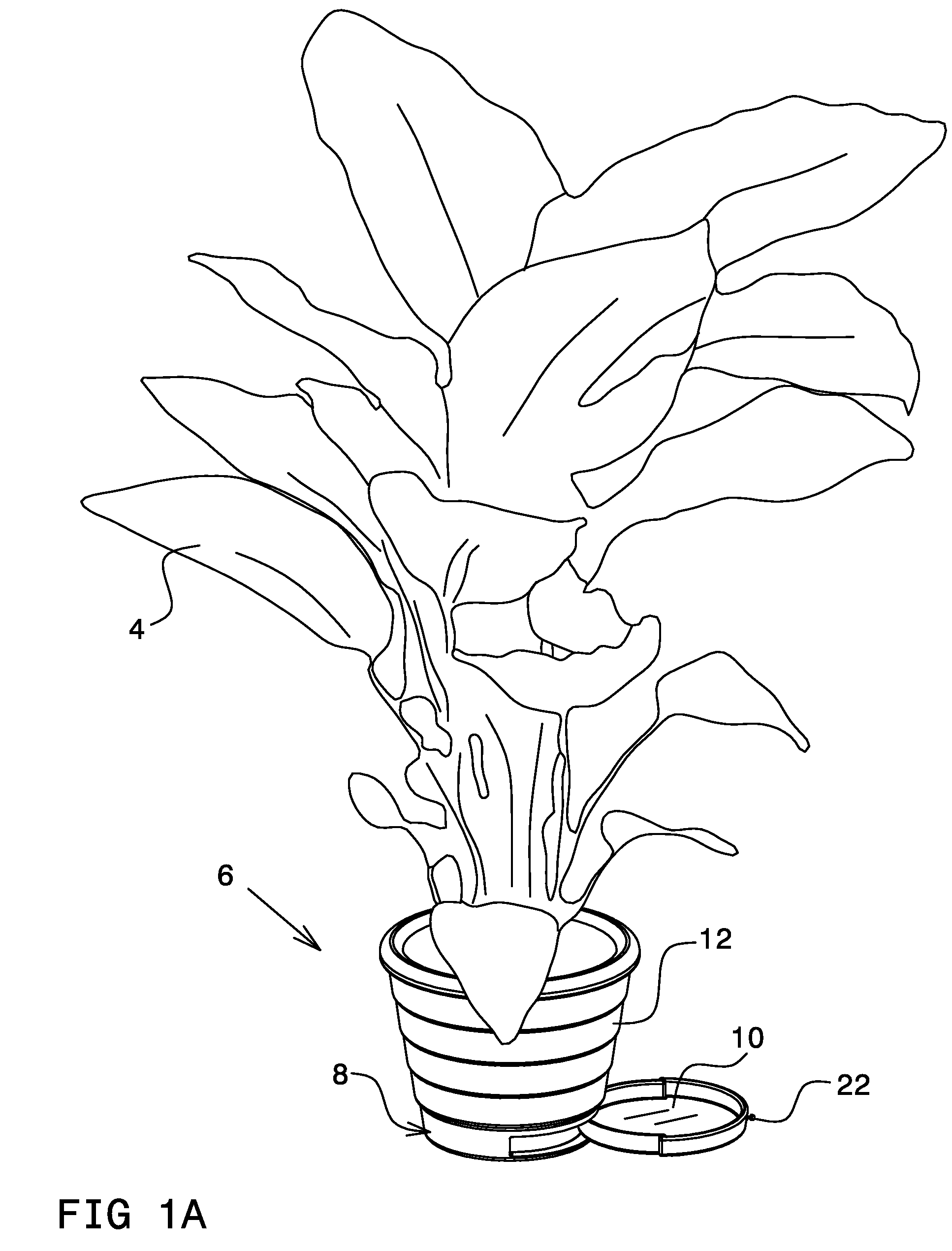 Flowerpot Saucer Apparatus