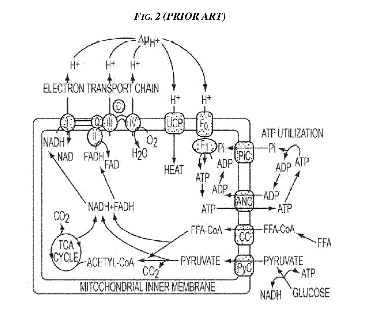 Methods and devices for inhibiting nerves when activating brown adipose tissue