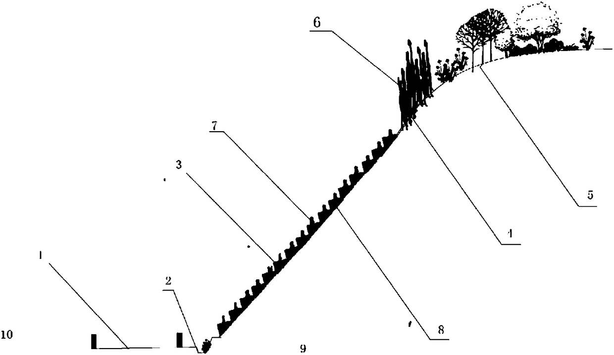 Ecological slope protection structure at two edges of highway and construction method thereof