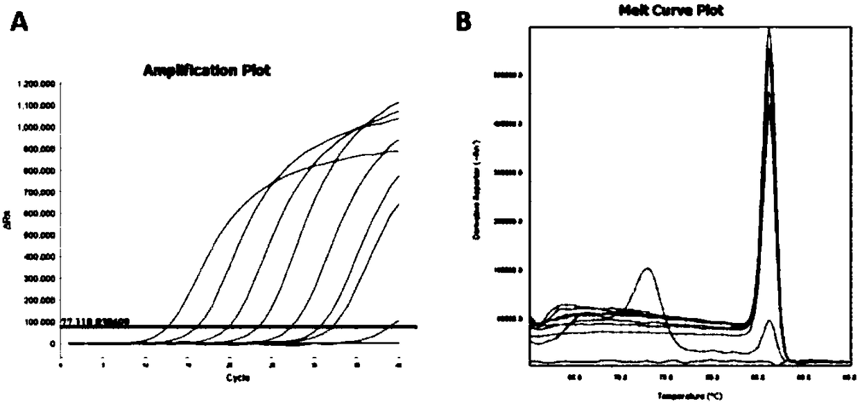 Primer set and kit for detecting Zika virus (ZIKV) based on one-step fluorescent quantitative nested RT-PCR