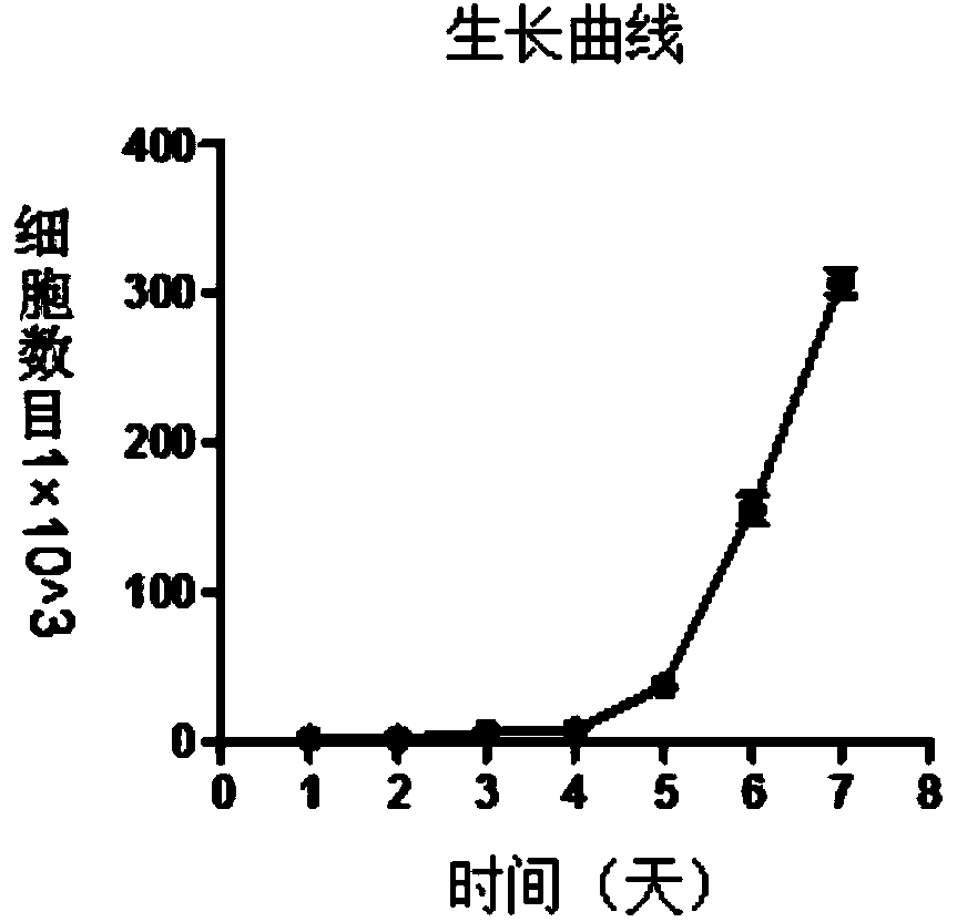 Human lung adenocarcinoma cell line and application thereof