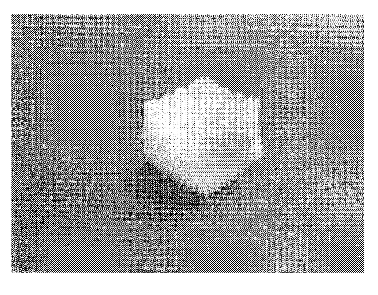 Complex support body for regenerating bone-cartilage, method for manufacturing thereof, and composition for treating bone and cartilage related diseases comprising same as active ingredient