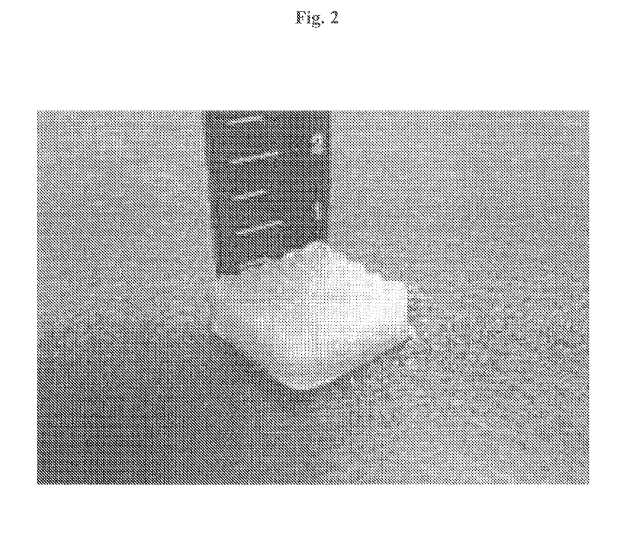 Complex support body for regenerating bone-cartilage, method for manufacturing thereof, and composition for treating bone and cartilage related diseases comprising same as active ingredient