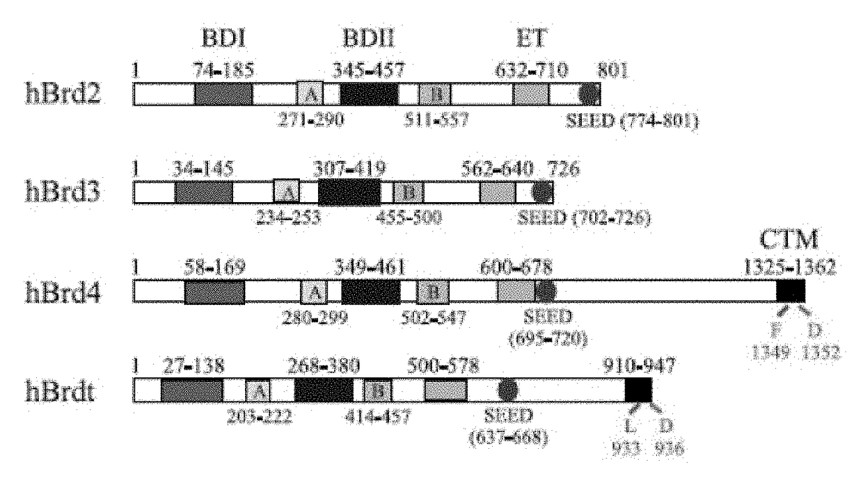 Method for modulating pigmentation by targeting BET bromodomain proteins