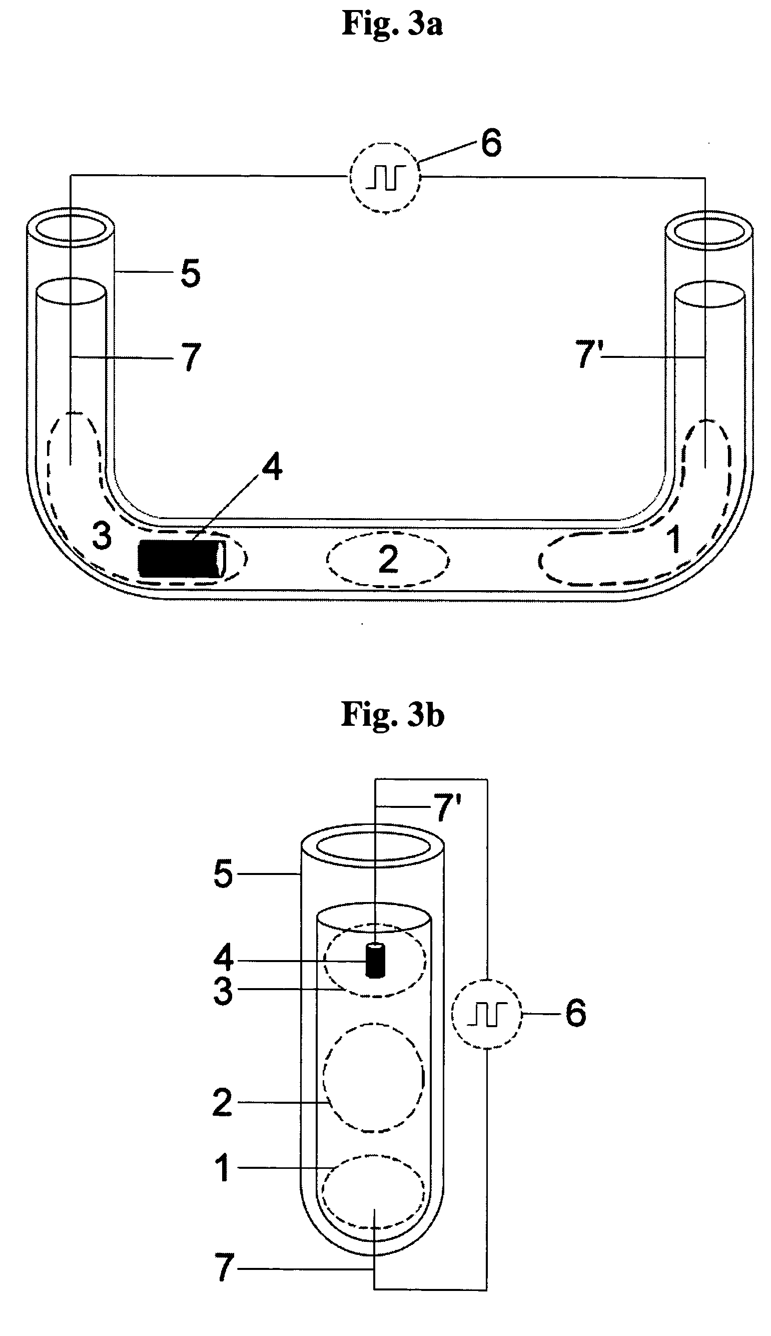 Method and apparatus for amplification of nucleic acid sequences using immobilized DNA polymerase