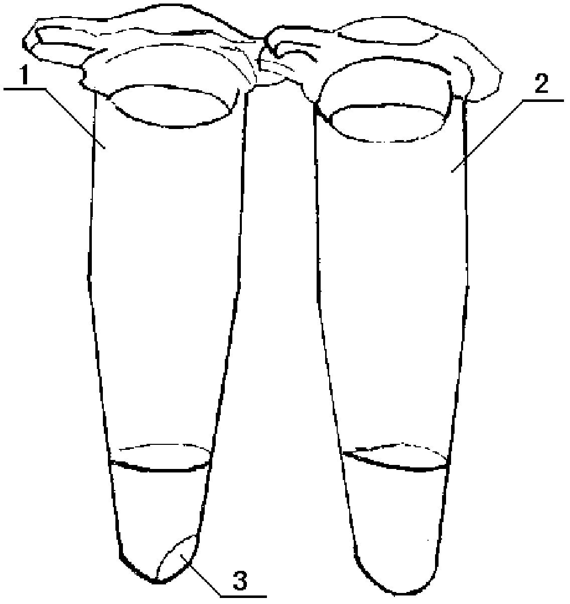 Vibrio parahemolyticus detection kit and detection method thereof