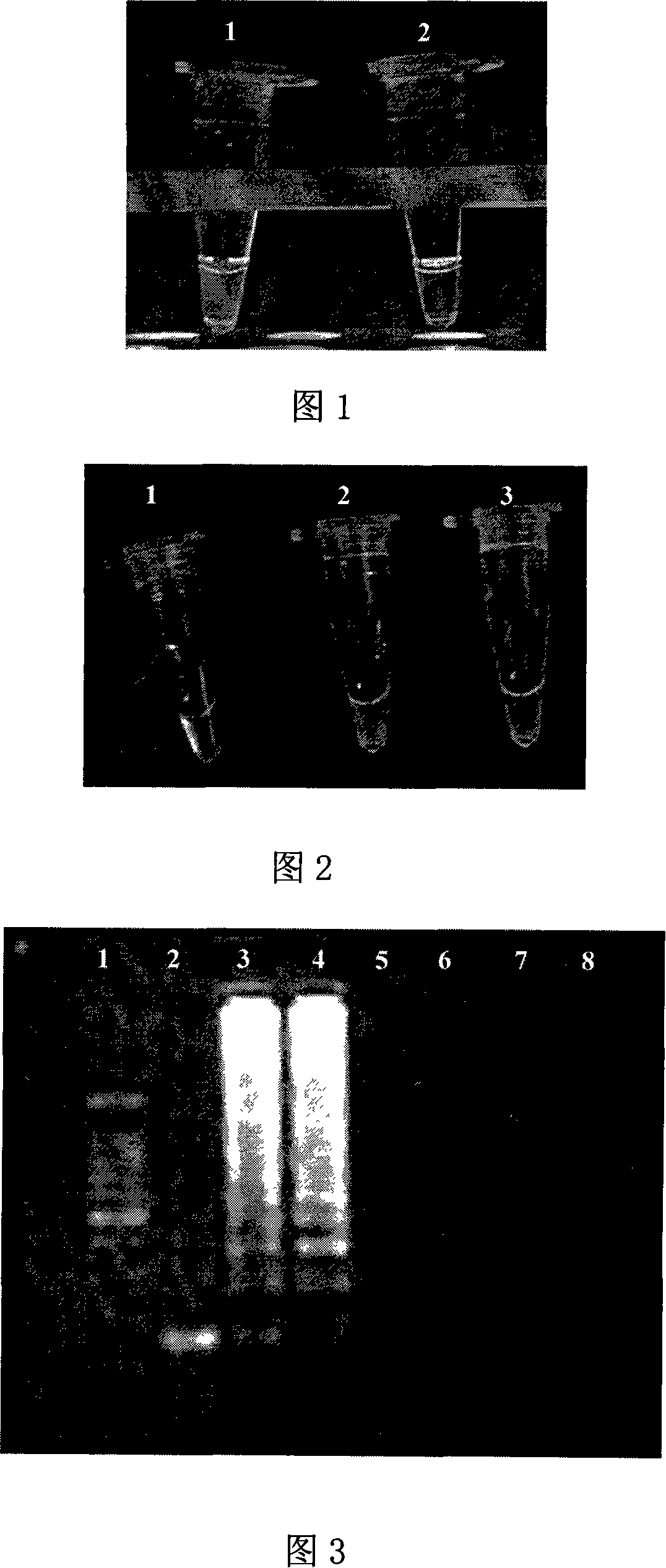 Primer, detection method and detection reagent kit for detection of group A type G3 rotavirus