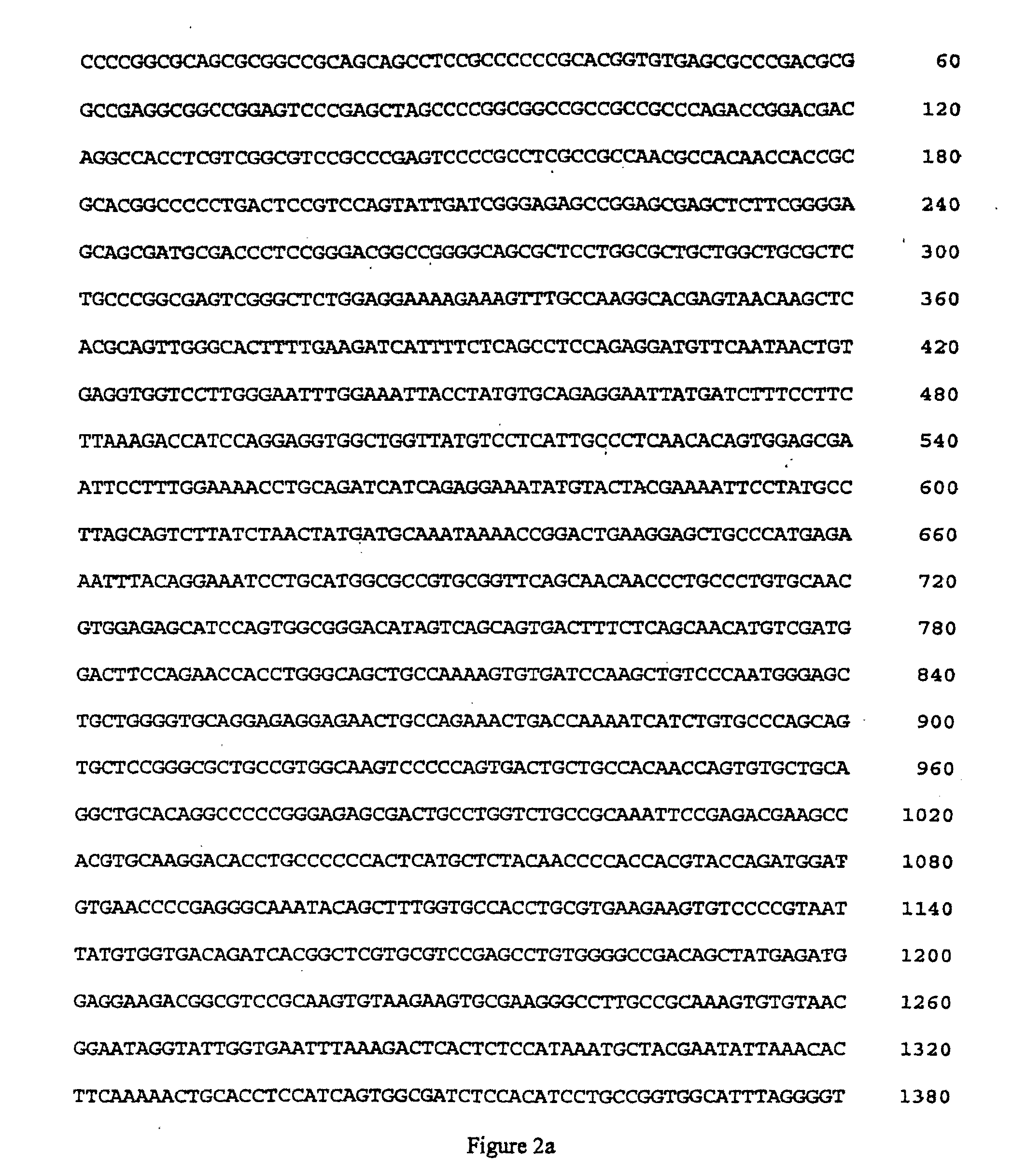 EGFR and kras mutations