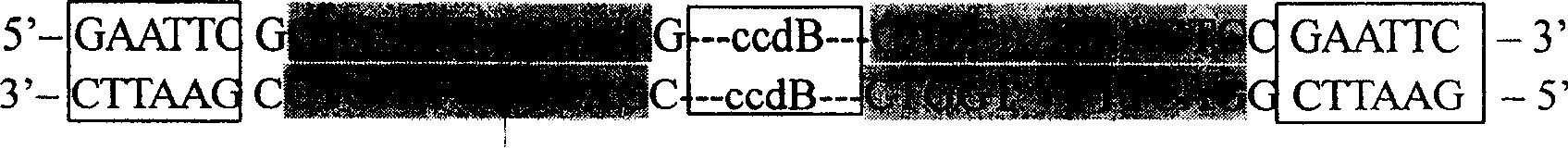 A method of constructing T carriers