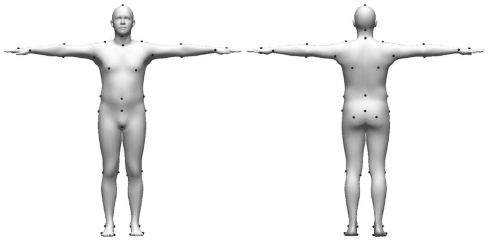 A Human Body Geometry Reconstruction Method Based on Euler Field Deformation Constraints