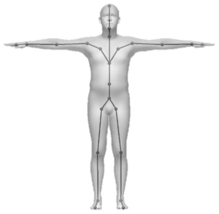 A Human Body Geometry Reconstruction Method Based on Euler Field Deformation Constraints