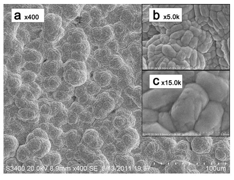 Lead dioxide electrode, preparation method of lead dioxide electrode and application of lead dioxide electrode in treatment of reactive dyes